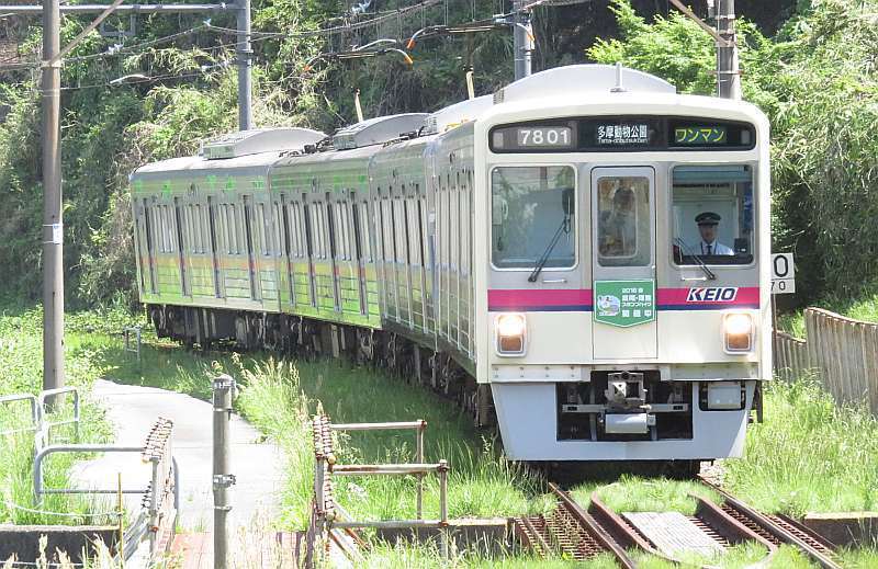 No862 2016京王電車[3] 5月－6月: 京王線 井の頭線 応援歌