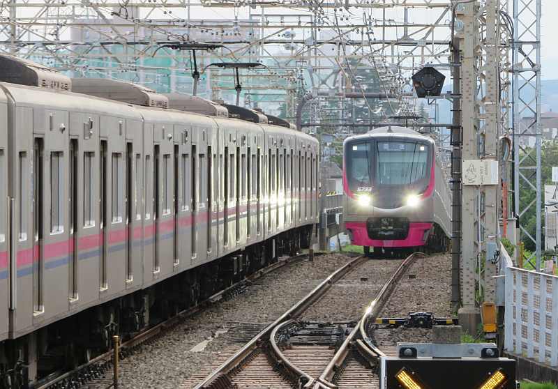 王者5000 王者5000 Buy Zx 5000: New Releases & Iconic Styles | GOAT